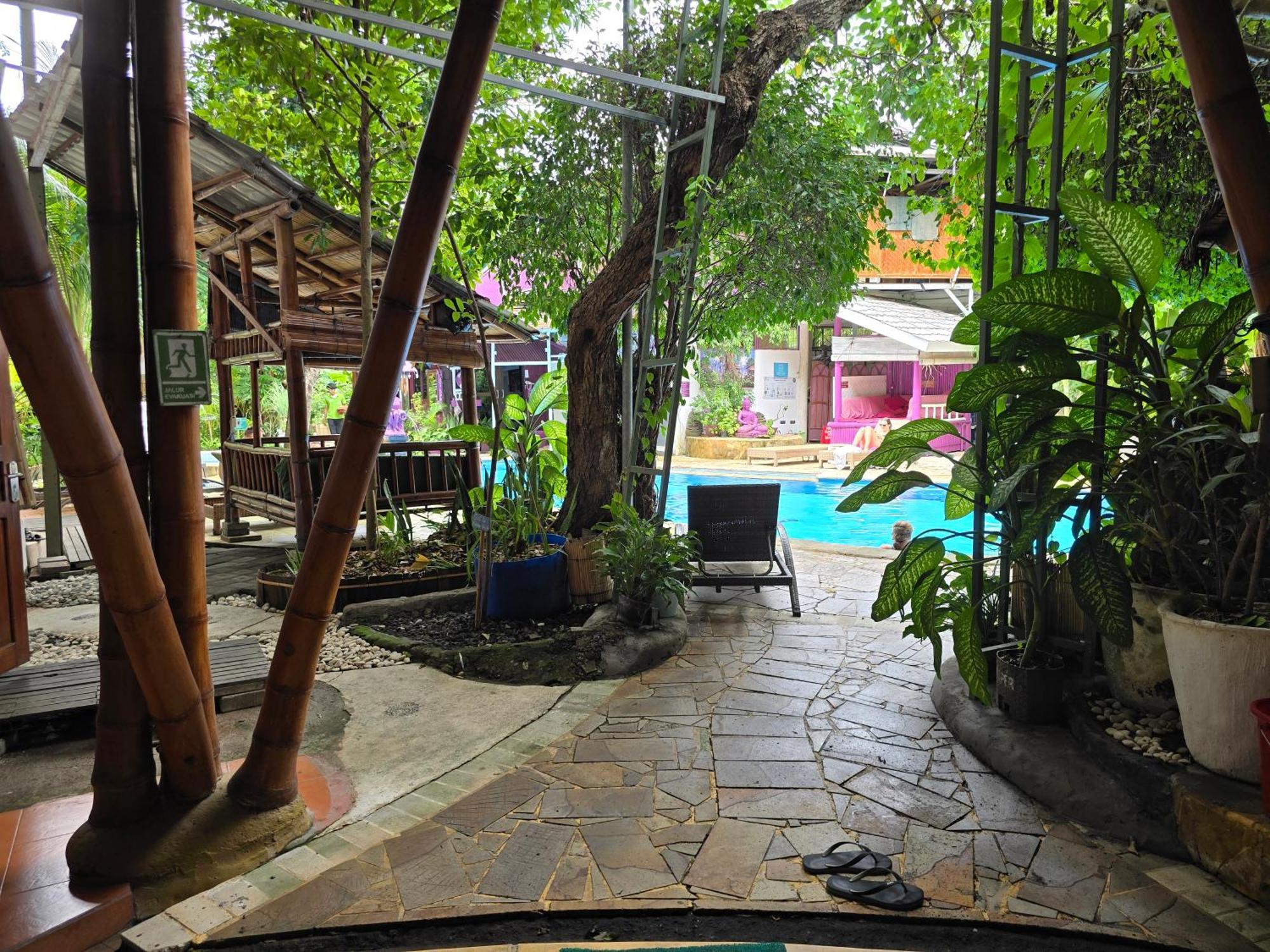 Serenity Eco Guesthouse - Chse Certified Canggu  Exterior photo